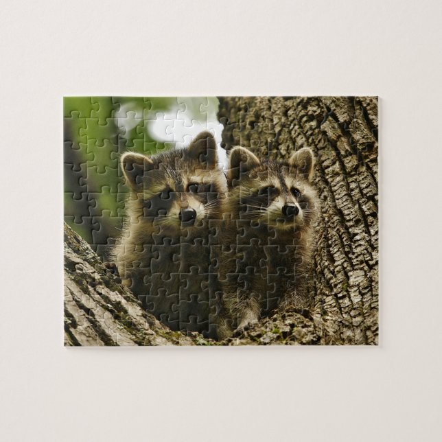 Cute Baby Raccoons Jigsaw Puzzle (Horizontal)