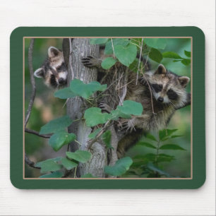 Cute Baby Raccoons Mouse Mat