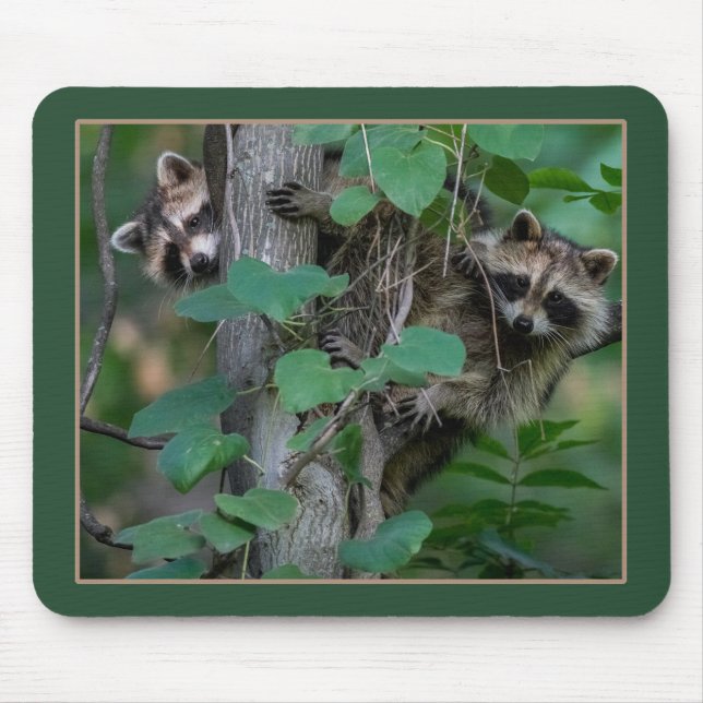 Cute Baby Raccoons Mouse Mat (Front)