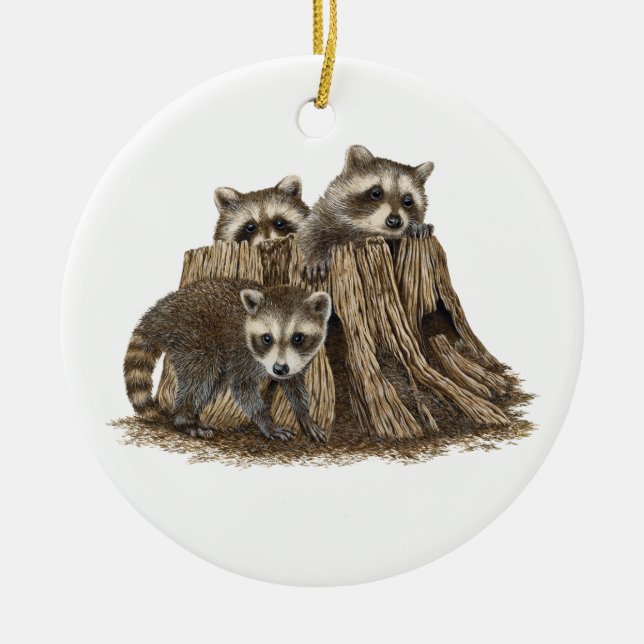 Cute Baby Raccoons Ornament (Front)