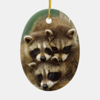 Cute Baby Racoon Ceramic Tree Decoration