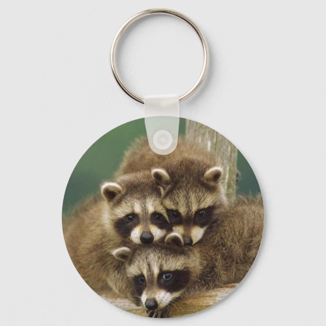 Cute Baby Racoon Key Ring (Front)