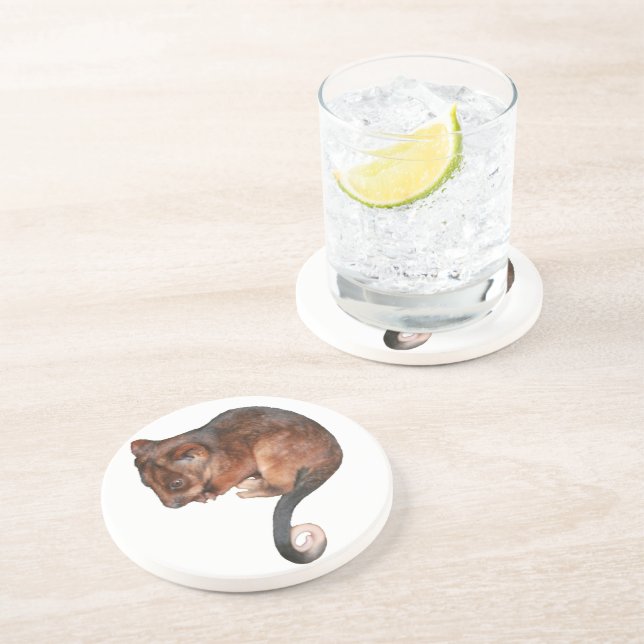 Cute Baby Ringtail Possum Coaster (Side)
