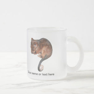 Cute Baby Ringtail Possum Frosted Glass Coffee Mug