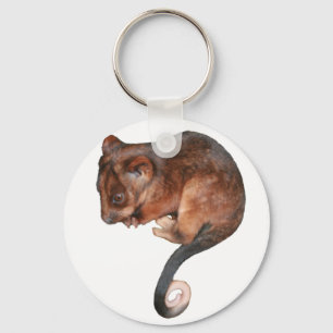 Cute Baby Ringtail Possum Key Ring