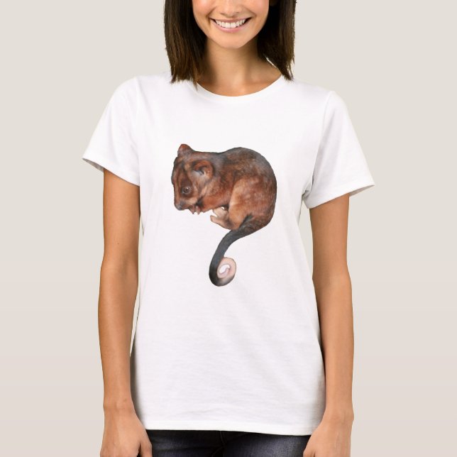 Cute Baby Ringtail Possum T-Shirt (Front)