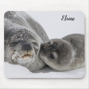 Cute Baby Seal and Mum Mouse Mat