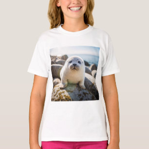 Cute Baby Seal T Shirt - Cute Animal Shirts 