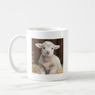 Cute Baby Sheep Mug - Cute Animal Mugs 