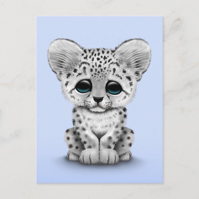 Cute Baby Snow Leopard Cub on Light Blue Postcard (Front)