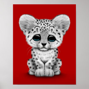 Cute Baby Snow Leopard Cub on Red Poster