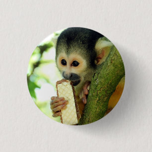 Cute Baby Squirrel Monkey Eating a Wafer Biscuit 3 Cm Round Badge
