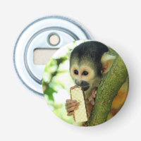 Cute Baby Squirrel Monkey Eating a Wafer Biscuit