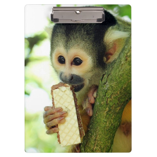 Cute Baby Squirrel Monkey Eating a Wafer Biscuit Clipboard (Front)