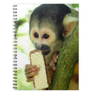 Cute Baby Squirrel Monkey Eating a Wafer Biscuit Notebook
