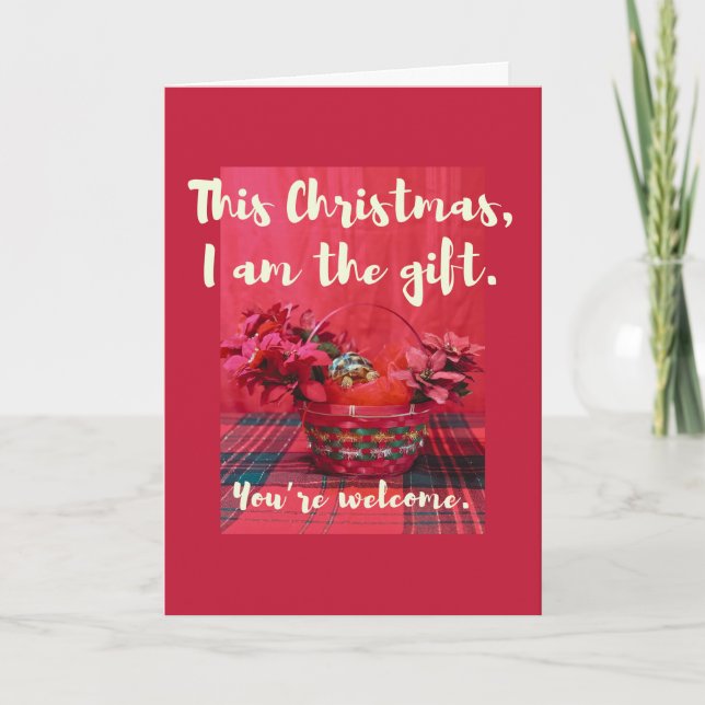 Cute Baby Sulcata Tortoise in poinsettia basket Card (Front)