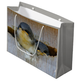 Cute Baby Tree Swallow Songbirds in Nestbox Large Gift Bag