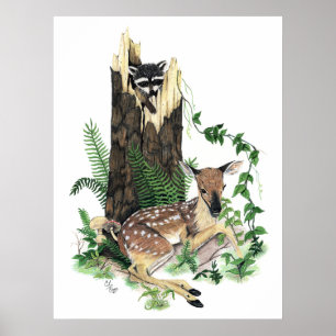 Cute Baby Whitetail Deer Fawn and Racoon Print