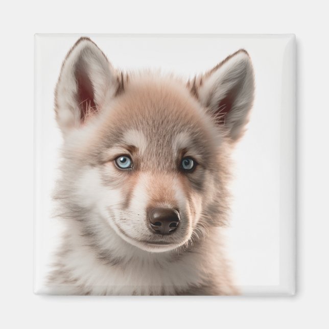 Cute Baby Wolf Portrait Magnet | Collectable (Front)