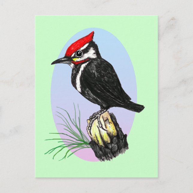 Cute Baby Woodpecker Postcard (Front)
