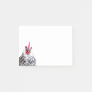 Cute Bantam Cochin Hen Photo 4x3 Notes