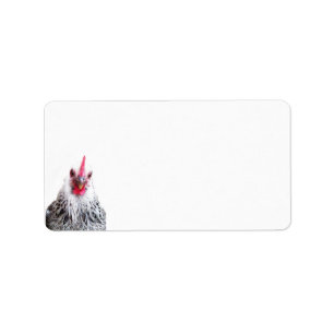Cute Bantam Cochin Hen Photo Address Label
