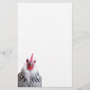 Cute Bantam Cochin Hen Photo Stationery Paper