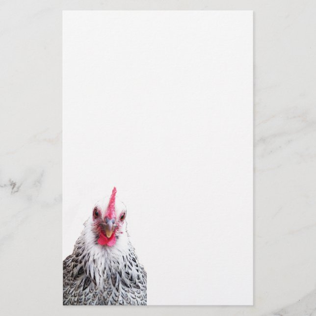 Cute Bantam Cochin Hen Photo Stationery Paper (Front)