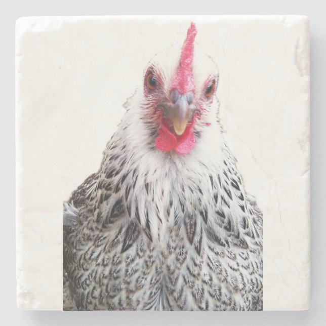 Cute Bantam Cochin Hen Photo Stone Coaster (Front)