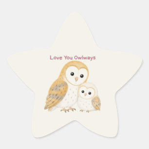 Cute Barn Owl Star Sticker