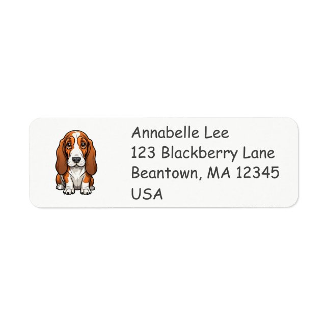 Cute Basset Hound (Front)