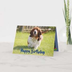 Cute Basset Hound On Funny Birthday Card