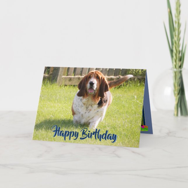 Cute Basset Hound On Funny Birthday Card (Front)