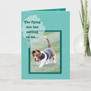 Cute Basset Hound on Funny Birthday Card