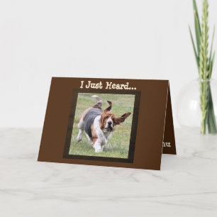 Cute Basset Hound on Funny Birthday Card with Cake