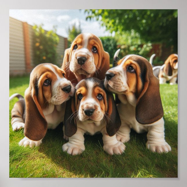 cute Basset Hound puppies Poster (Front)