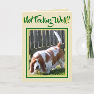 Cute "Basset Hound" W/Daisy On "Get Well" Card