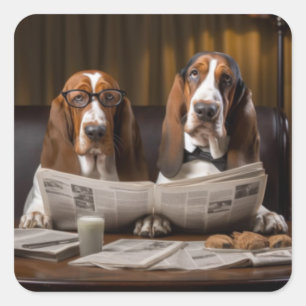 Cute basset hounds reading newspaper square sticker