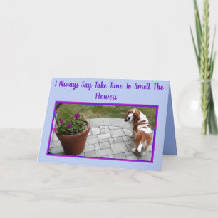 Cute Basset W/Flowers & Ice Cream on Birthday Card