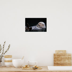 Cute Bathing Sea Otter Photographic Poster