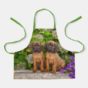 Cute Bavarian Mountain Hound Puppies with Flowers Apron