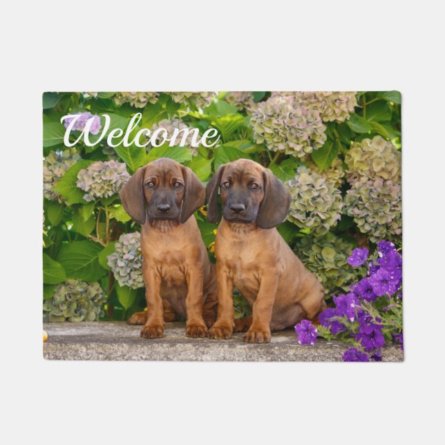 Cute Bavarian Mountain Hound Puppies with Flowers Doormat (Front)