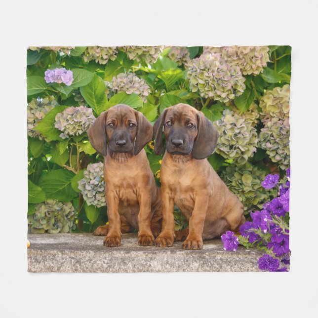 Cute Bavarian Mountain Hound Puppies with Flowers Fleece Blanket (Front (Horizontal))