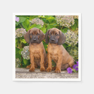 Cute Bavarian Mountain Hound Puppies with Flowers Napkin