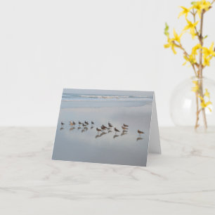 Cute Beach Bird Coastal Photography Custom Message Card