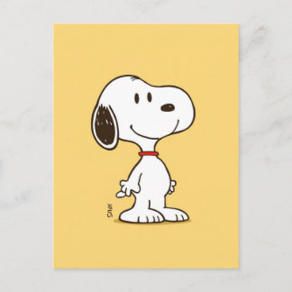 Cute Beagle Cartoon Character Illustration Postcard