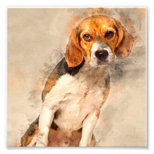 Cute Beagle dog Gift   Best Animal Decoration Photo Print