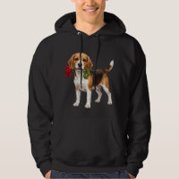 Cute Beagle Dog