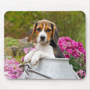 Cute Beagle Dog Puppy in a Milk Churn - Mouse Mat