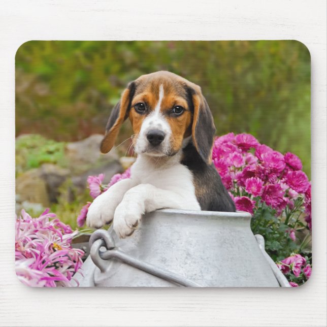 Cute Beagle Dog Puppy in a Milk Churn - Mouse Mat (Front)